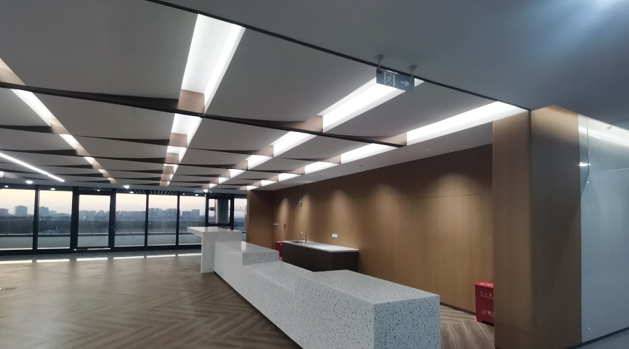 GRG異形吊頂 GRG異形吊頂